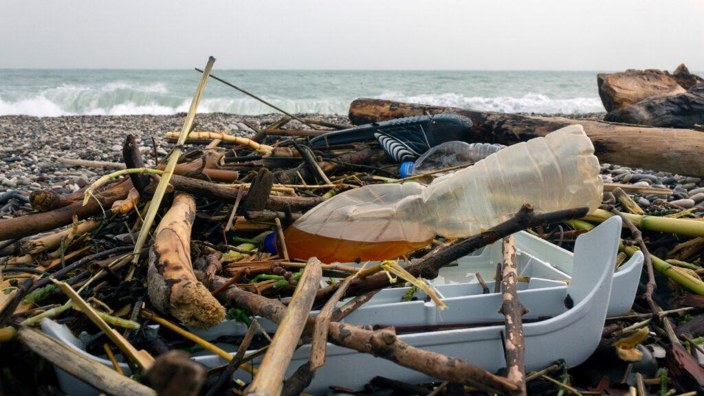 A discarded plastic water bottle amongst some drift wood on a beach 